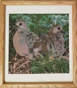 Two Mourning Doves