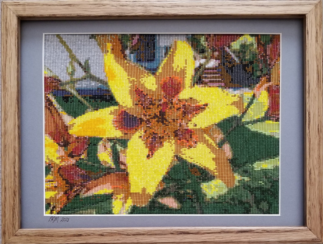 Yellow Lilly